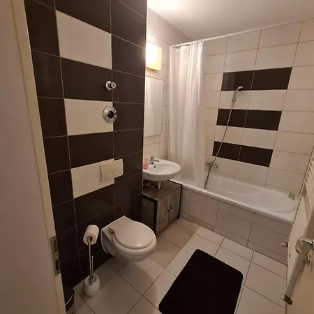 Garsoniera Zebra Apartment Brasov Exterior photo