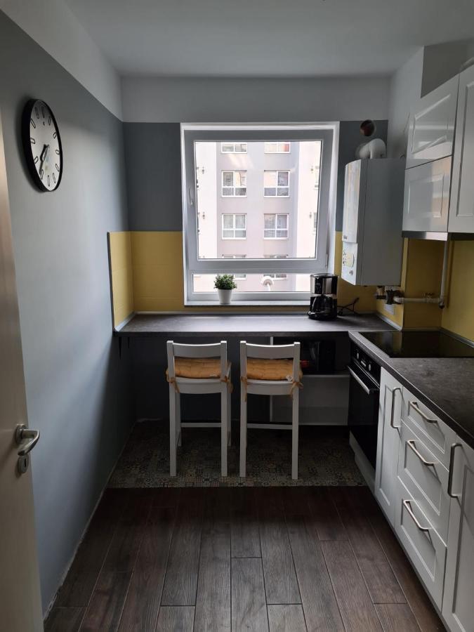 Apartment Garsoniera Zebra Brasov